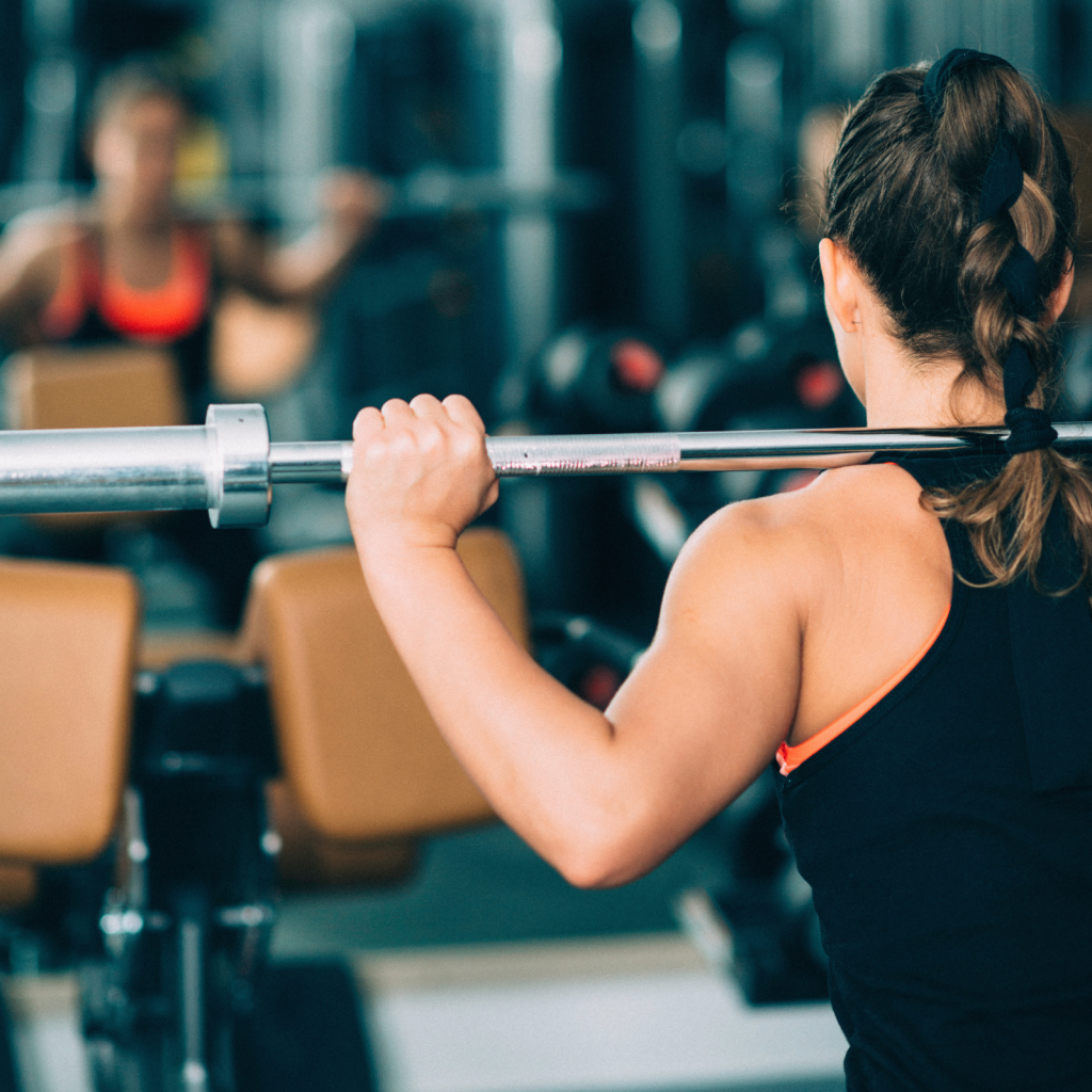 Beginner's Gym Program