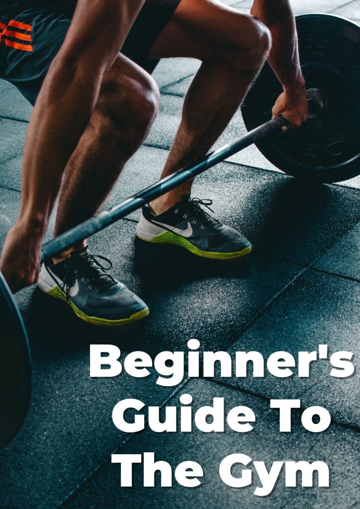 Beginner's Gym Program